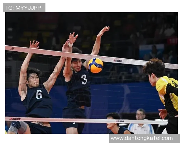 杭州排球队意识排名创新高展现团队实力与战术智慧